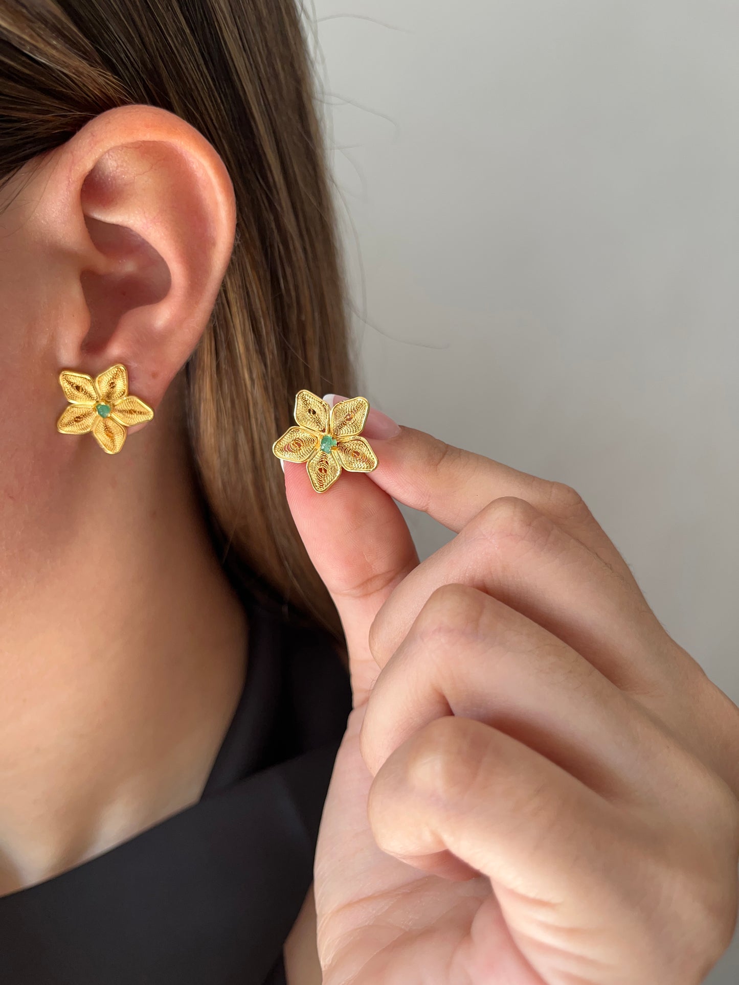 Topo Estrella