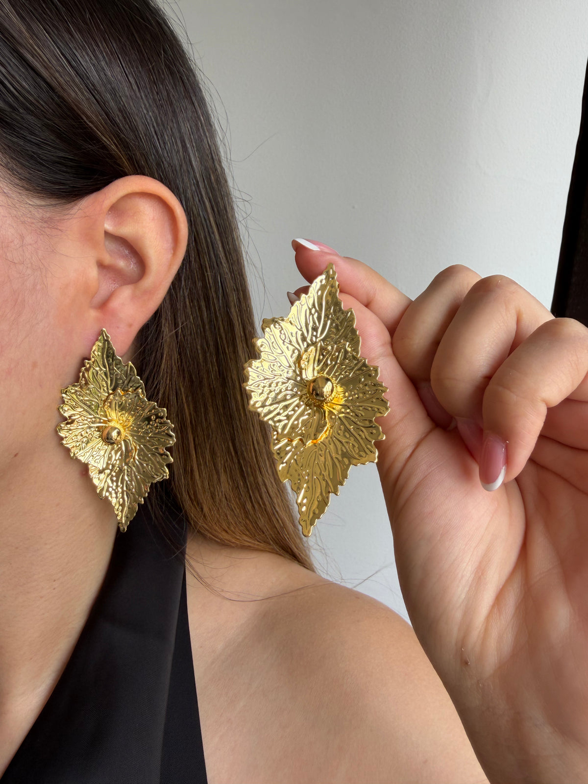 Maxi Arete