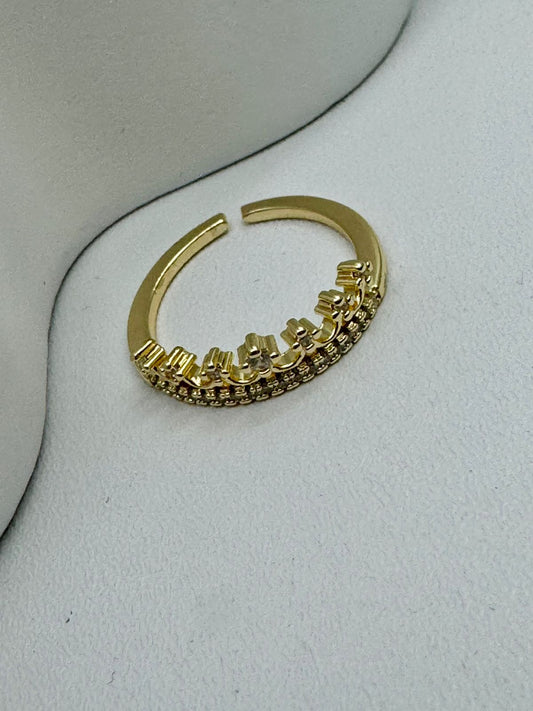Anillo