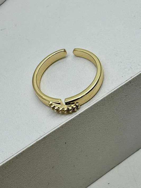 Anillo
